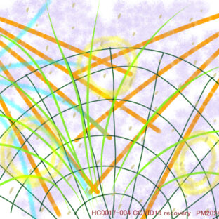 HC0017-004 （新型コロナウイルスからの回復／有効期限：1年間）