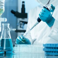 Experimental results on Euglena